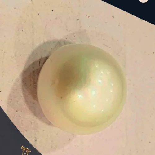 Fresh water Pearl Ratnakshi Pearl Japanese Pearl Light Golden Pearl Loose Pearl